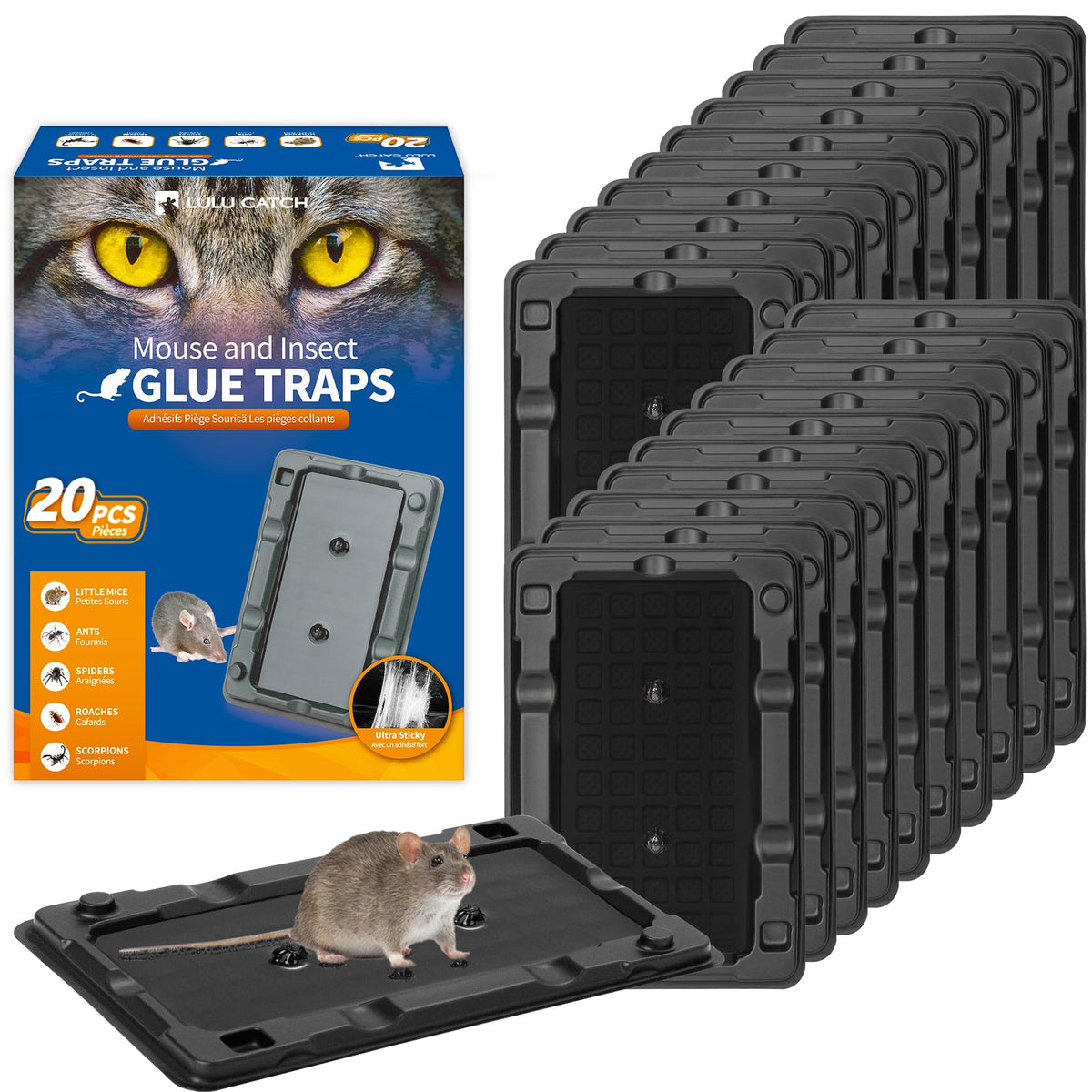 LULUCATCH Mouse Traps 20-pack ready for home use and bulk pest capture.