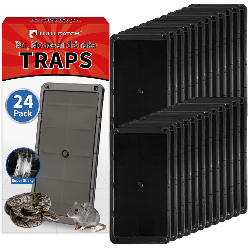 LULUCATCH mouse traps with a large tray for stronger indoor captures.
