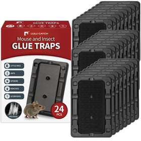 LULUCATCH 24-pack traps in box, ready for pest control in your home.