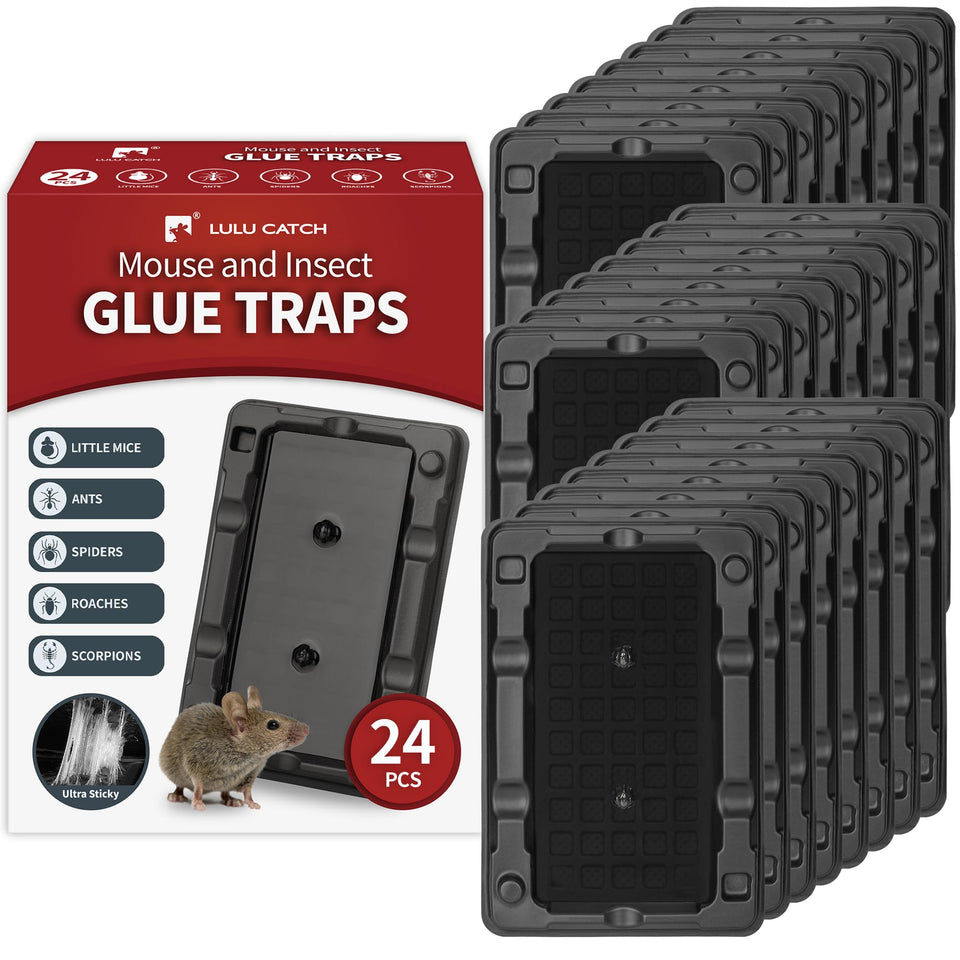 LULUCATCH 24-pack traps in box, ready for pest control in your home.