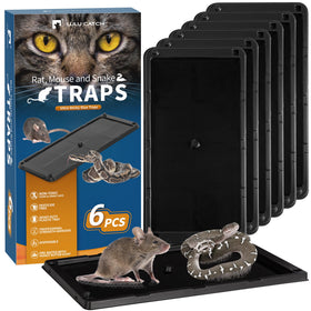 LULUCATCH 6-pack glue traps lined up along a wall for quick indoor capture