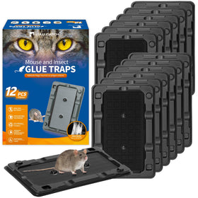 LULUCATCH mouse traps prebaited-glue-traps: strong adhesive for quick captures