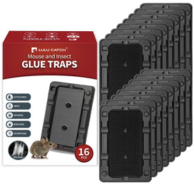 LULUCATCH 16-pack traps ready for quick setup and reliable pest capture.