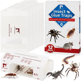 LULUCATCH pre-baited glue trap in flat setup for quick indoor pest capture.