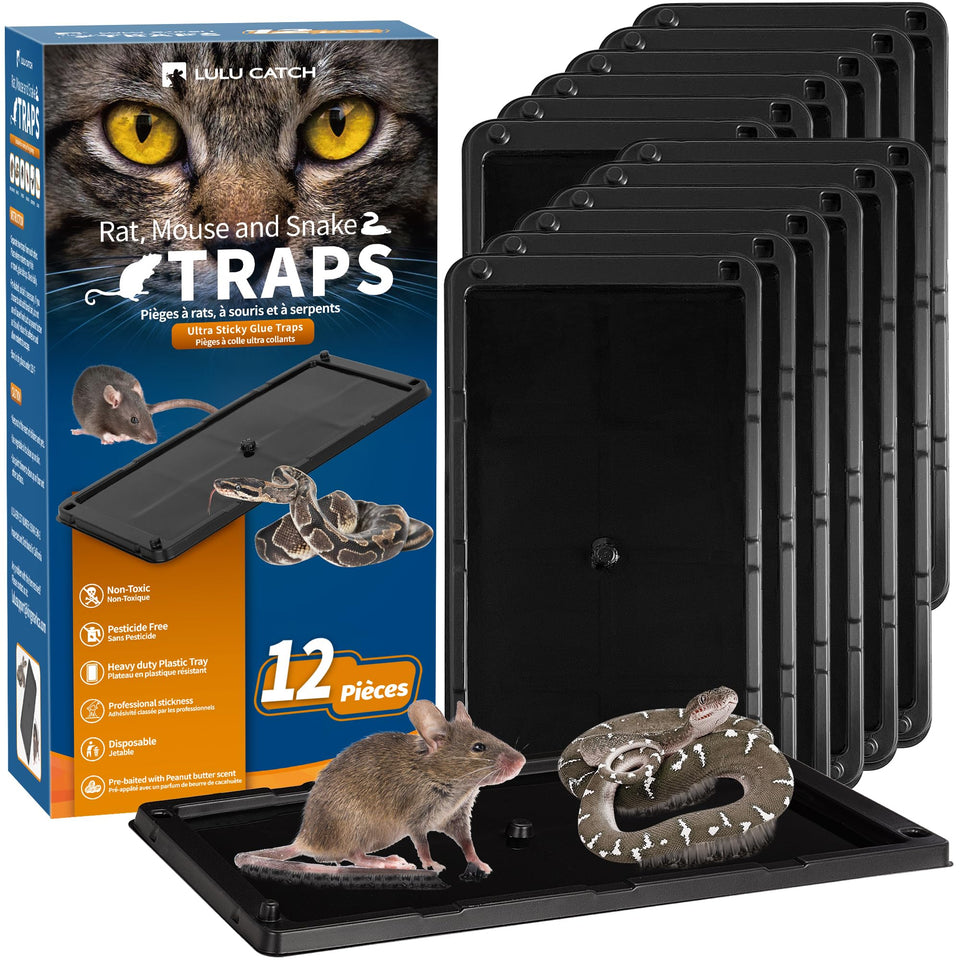 LULUCATCH prebaited glue trap ready for quick setup and capture.