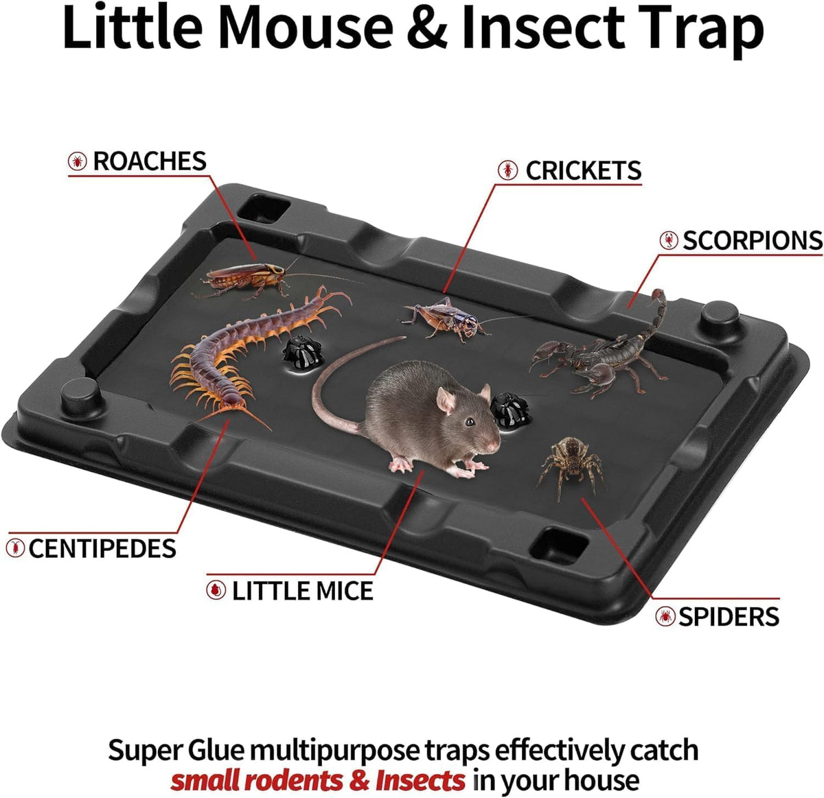LULUCATCH pre-baited peanut butter attractant draws pests effectively.