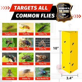 LULUCATCH fly trap safely designed for families and pets