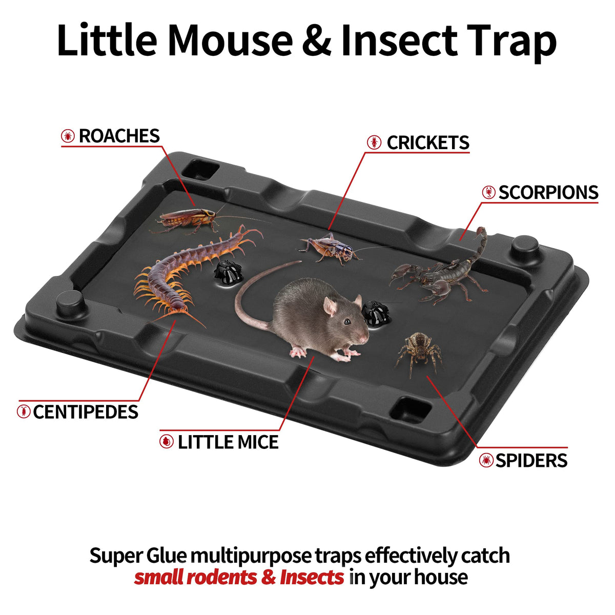 LULUCATCH sticky trap peanut butter close-up highlights irresistible lure for pests.