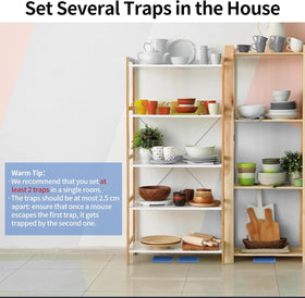 LULUCATCH sticky traps capture mice and small insects safely.