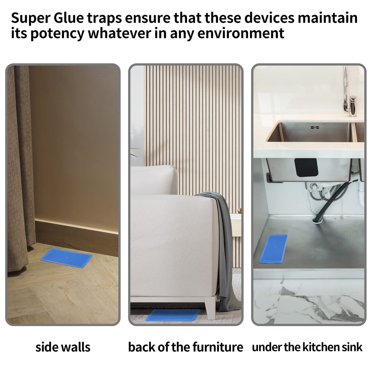 LULUCATCH trap placement along walls for optimal catching.