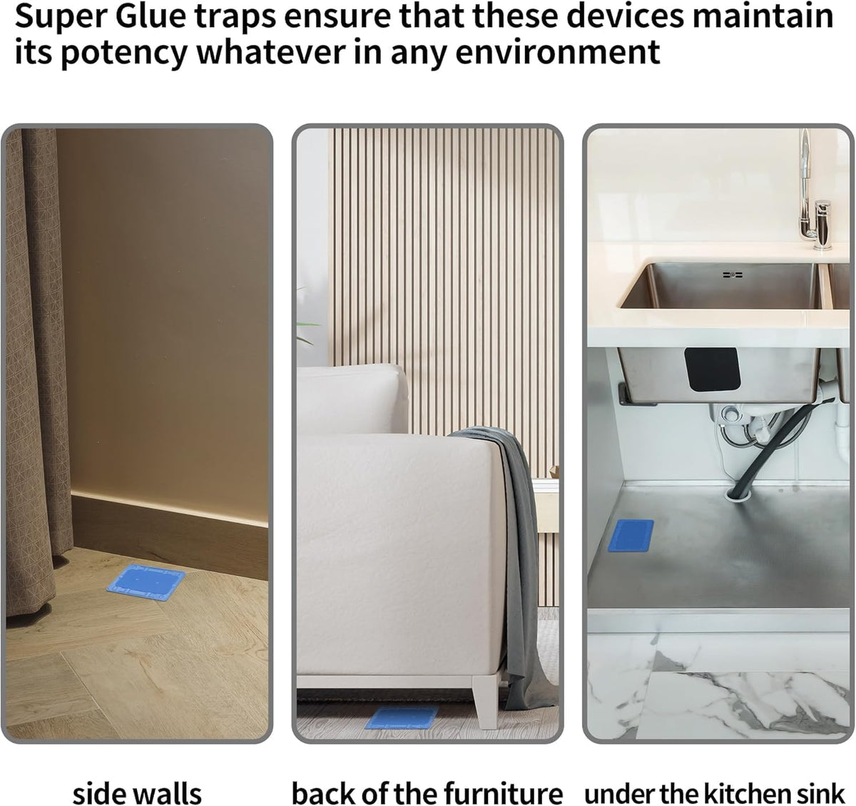 LULUCATCH traps indoors in a home setting ready for placement