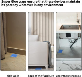 LULUCATCH traps indoors in a home setting ready for placement