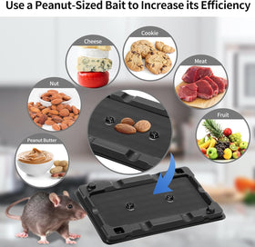 LULUCATCH traps paired together to show durable, bulk-ready design