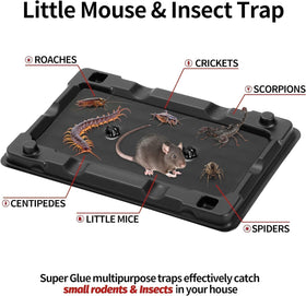 LULUCATCH traps placed flush against a wall for effective travel runways