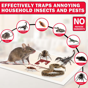 LULUCATCH versatile pest control for mice, roaches, and more