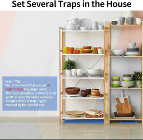 LULUCATCH wall-placement-glue-trap designed to run flush against a wall.