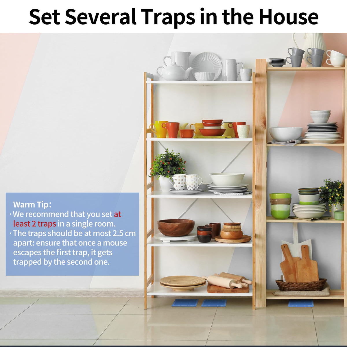 Catches mice, roaches, crickets, lizards, and other small pests.