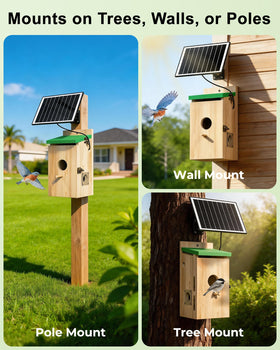 LuminiCam backyard HD livestream brings you closer to nature.