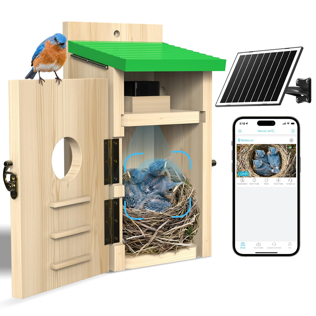 LuminiCam bird house camera inside for discreet backyard birdwatching.