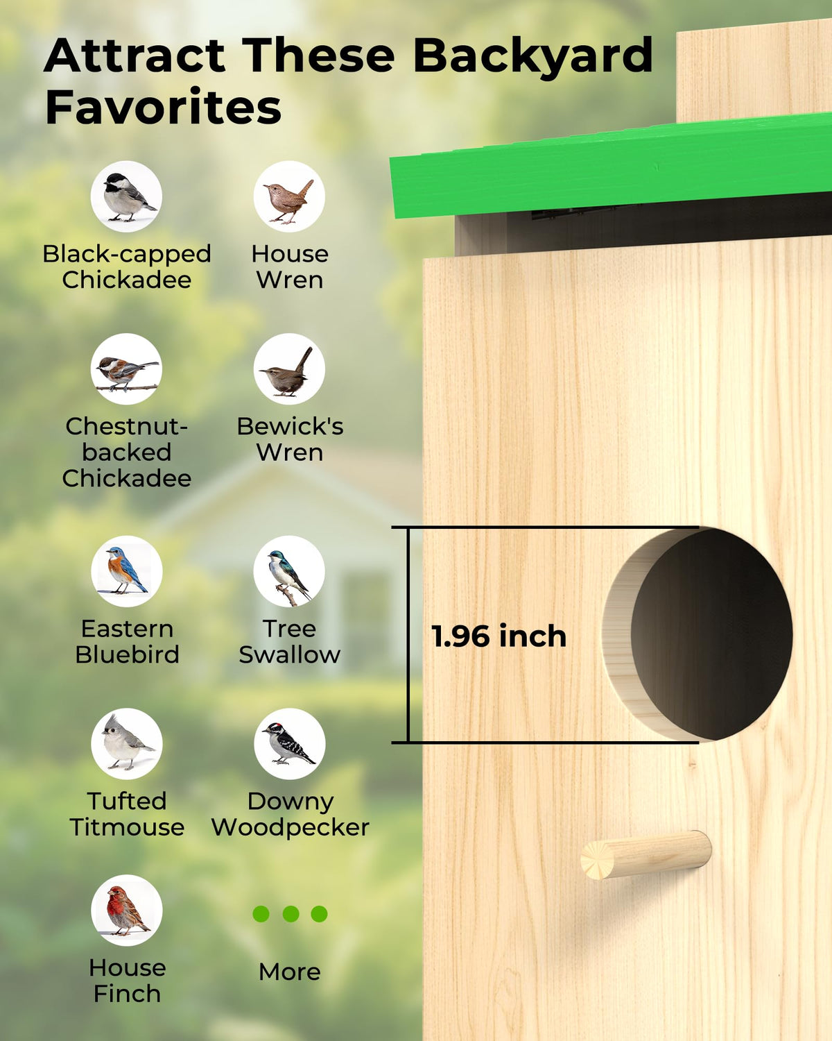 LuminiCam 1.96-inch entrance hole attracts a range of songbirds.