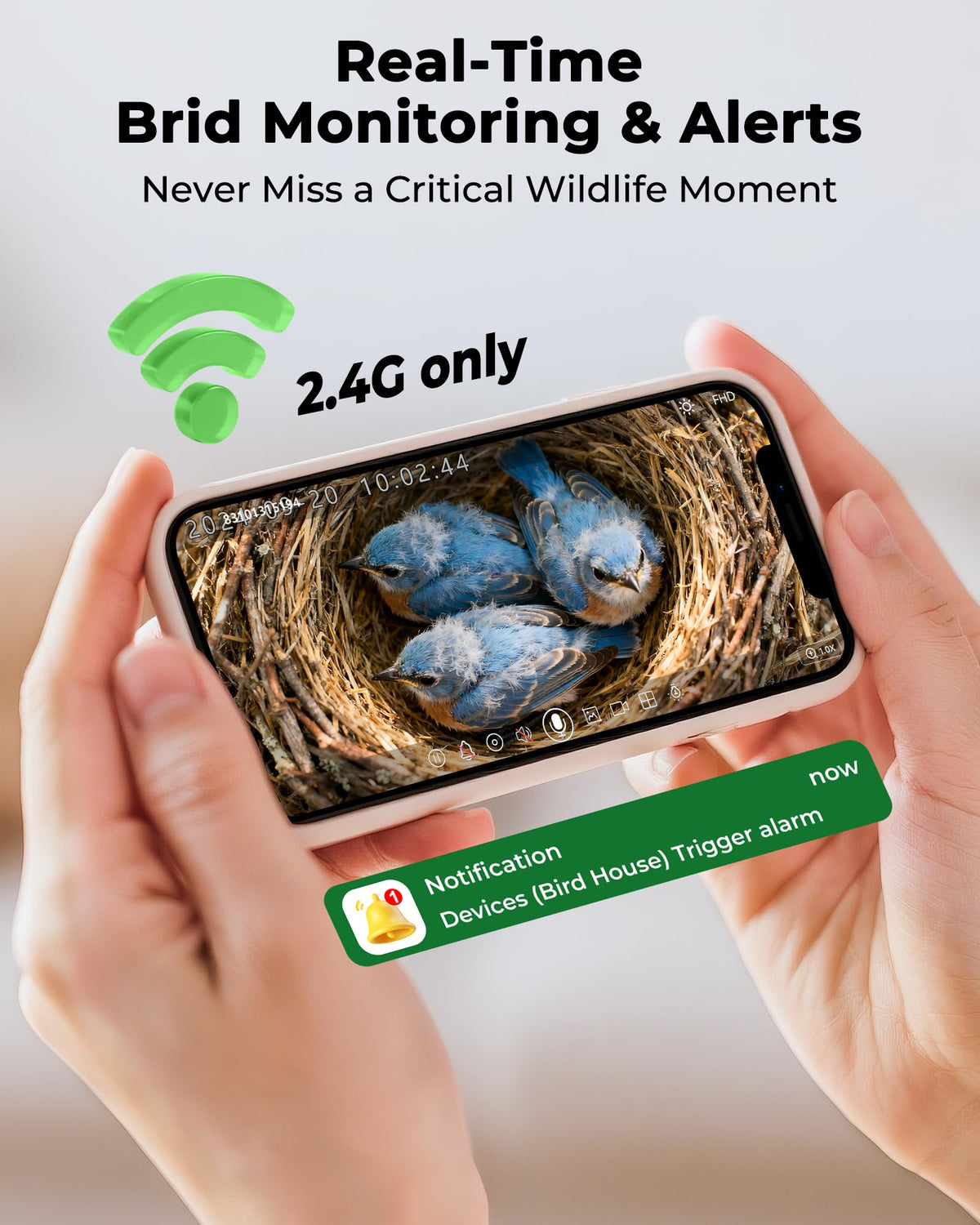 LuminiCam night vision lets you observe birds after dark.