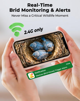 LuminiCam night vision lets you observe birds after dark.