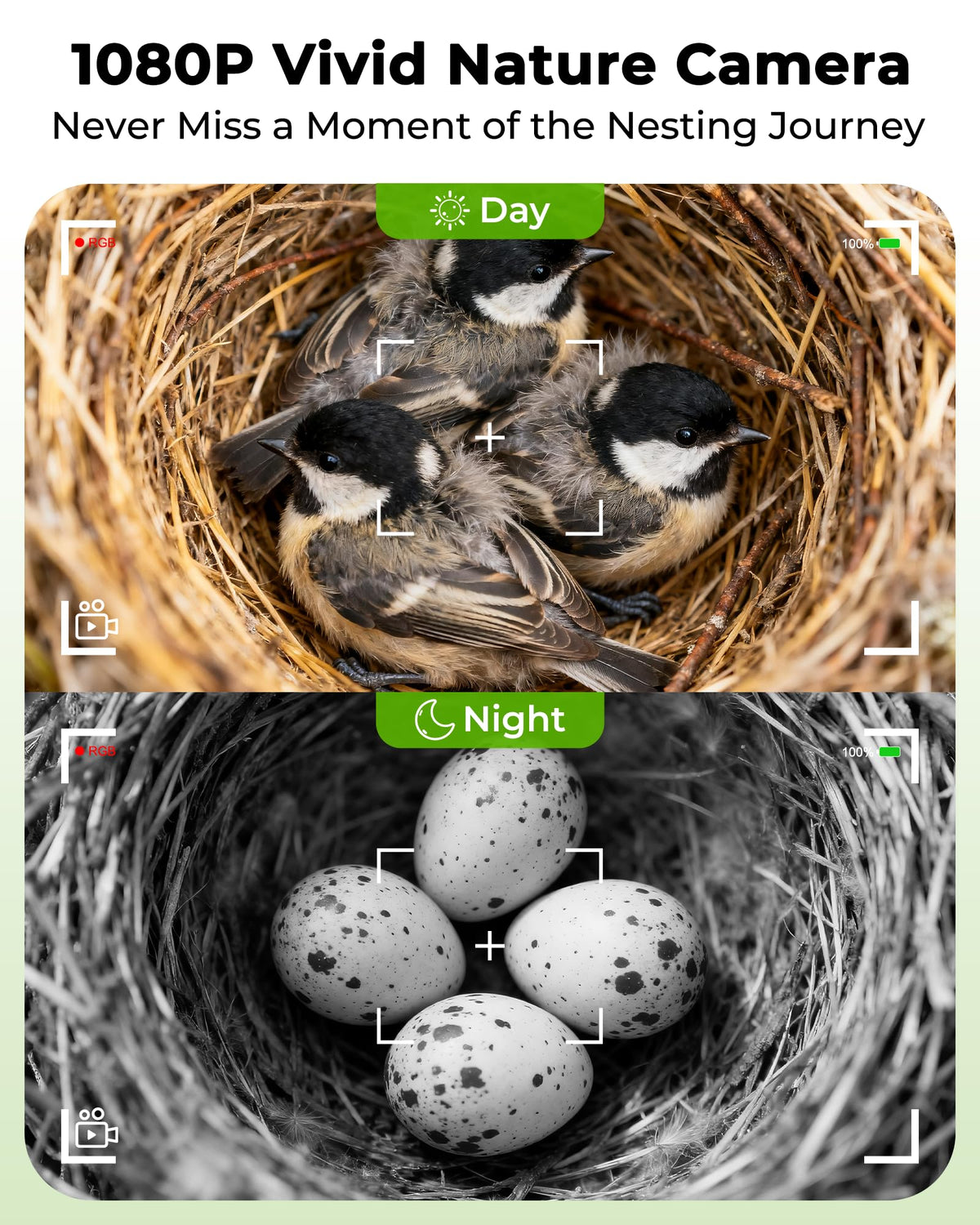 LuminiCam pine wood birdhouse blends with garden scenery while housing the camera.