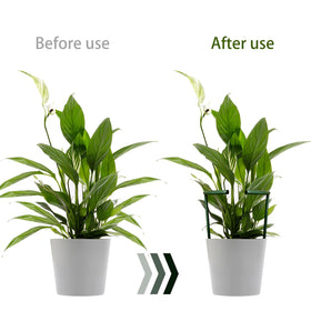 Lunhans plant clips 24-pcs secure stems gently for neat climbing growth.