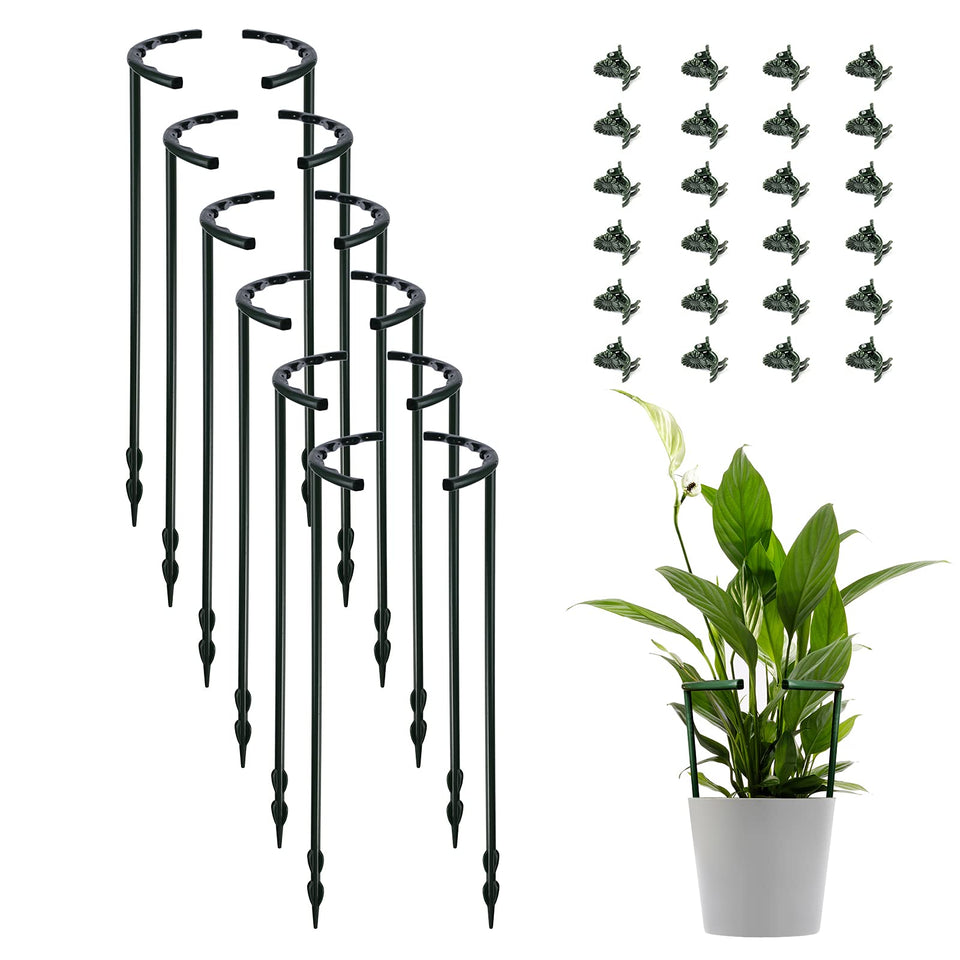 Lunhans plant stake 12-pack with arc design for upright growth and easy support.