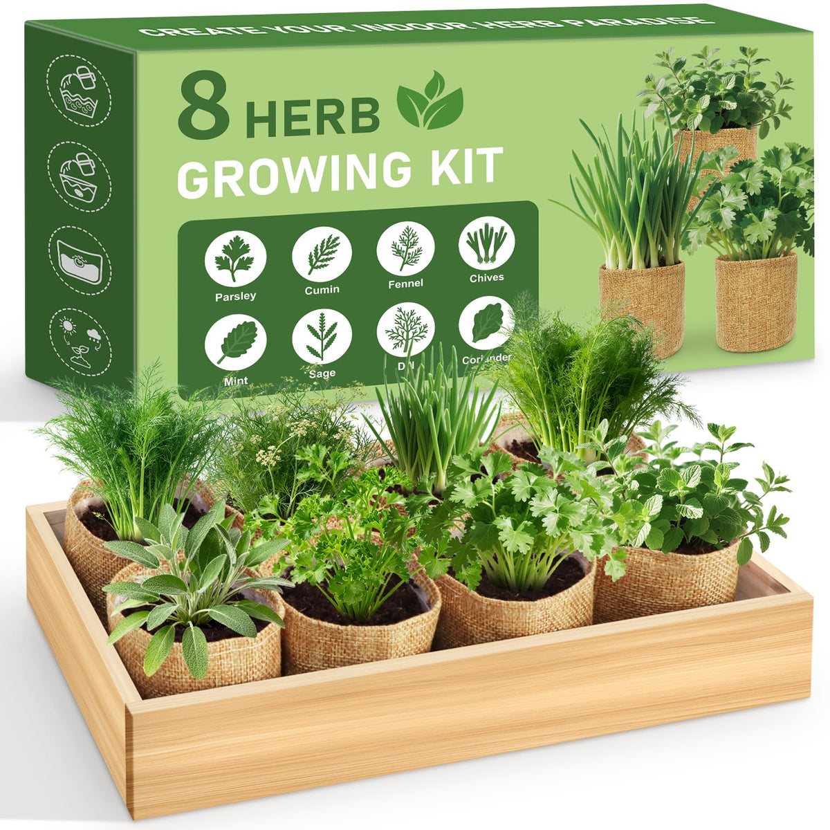 LUOJIBIE 8 Herb Kit cover inviting beginners to start indoor gardening