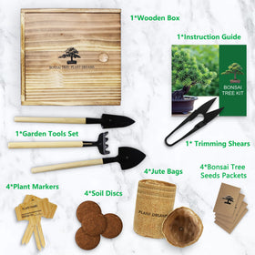 LUOJIBIE Bonsai for families, kids, and growing patience.