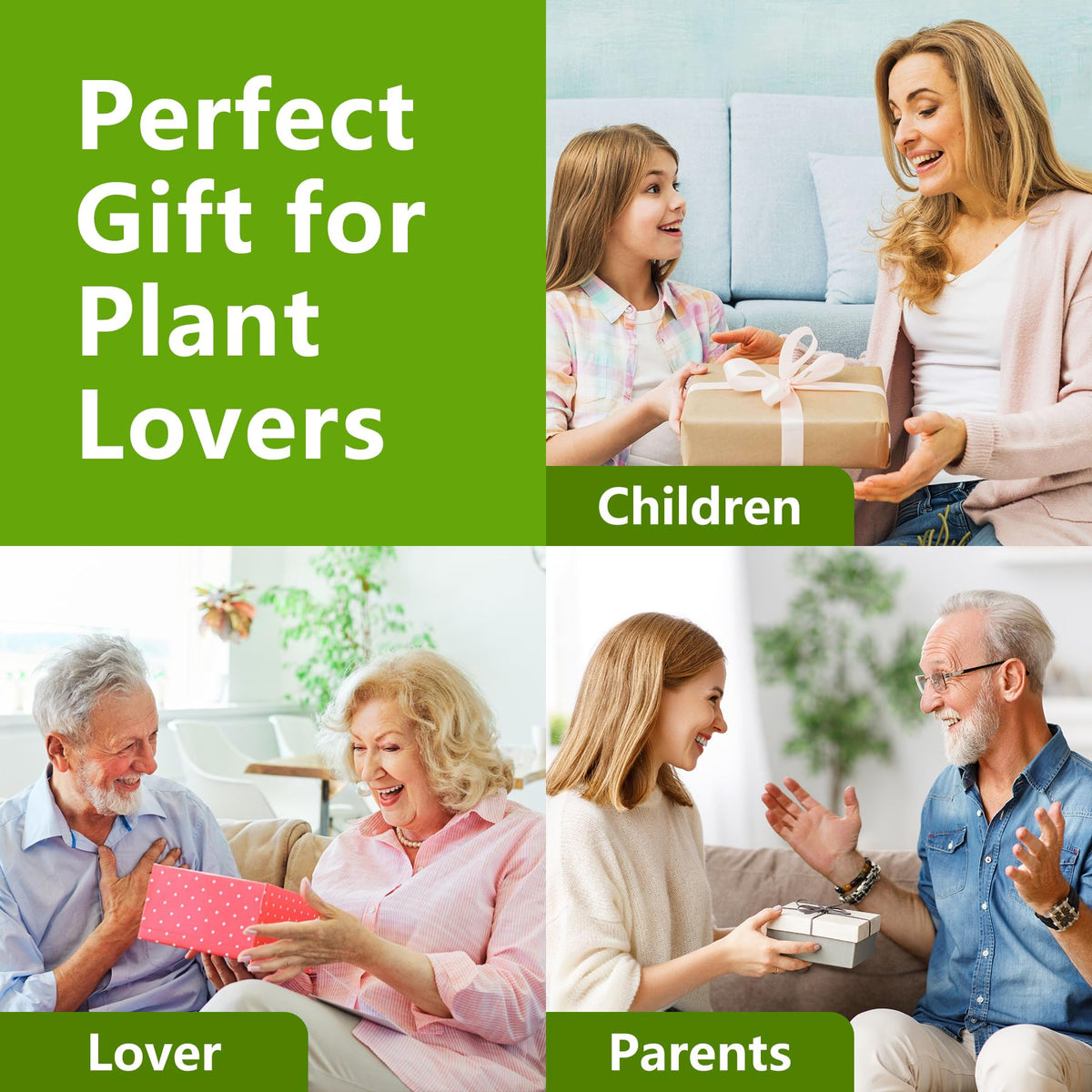 LUOJIBIE gift packaging makes a thoughtful plant lover gift.