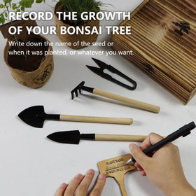 LUOJIBIE Bonsai relaxation scene suitable for mindful hobby sessions.