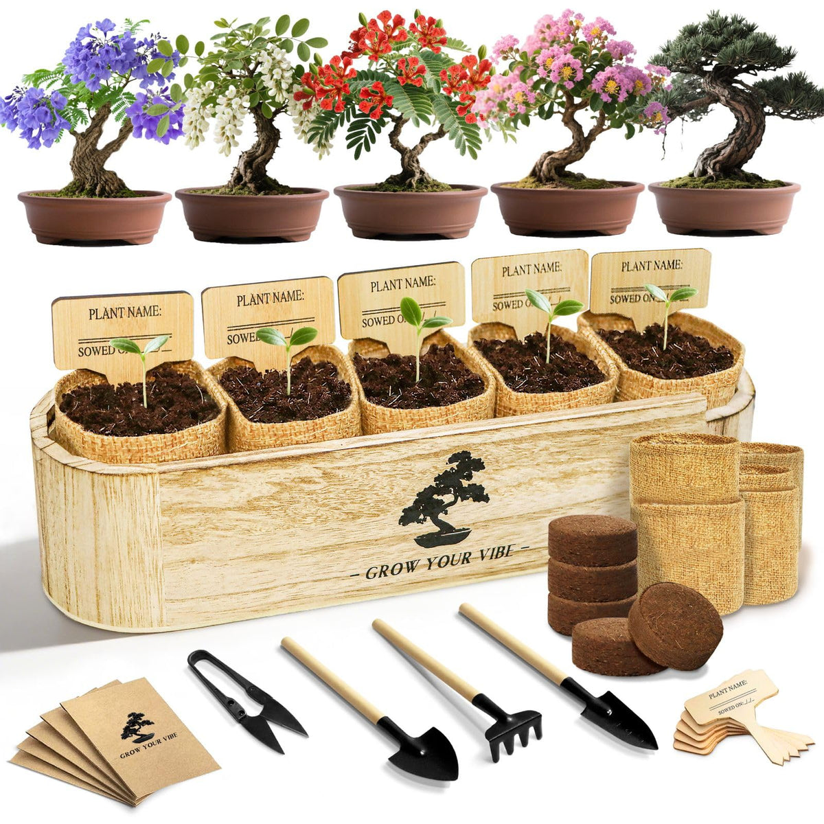 LUOJIBIE Bonsai Tree Kit in a wooden box, ideal for beginners seeking a calming hobby