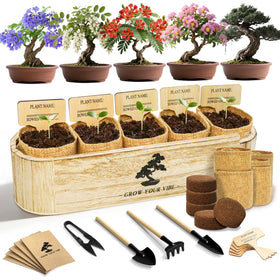LUOJIBIE Bonsai Tree Kit in a wooden box, ideal for beginners seeking a calming hobby