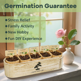 LUOJIBIE Bonsai Tree Kit gift set ideal for holidays and special occasions
