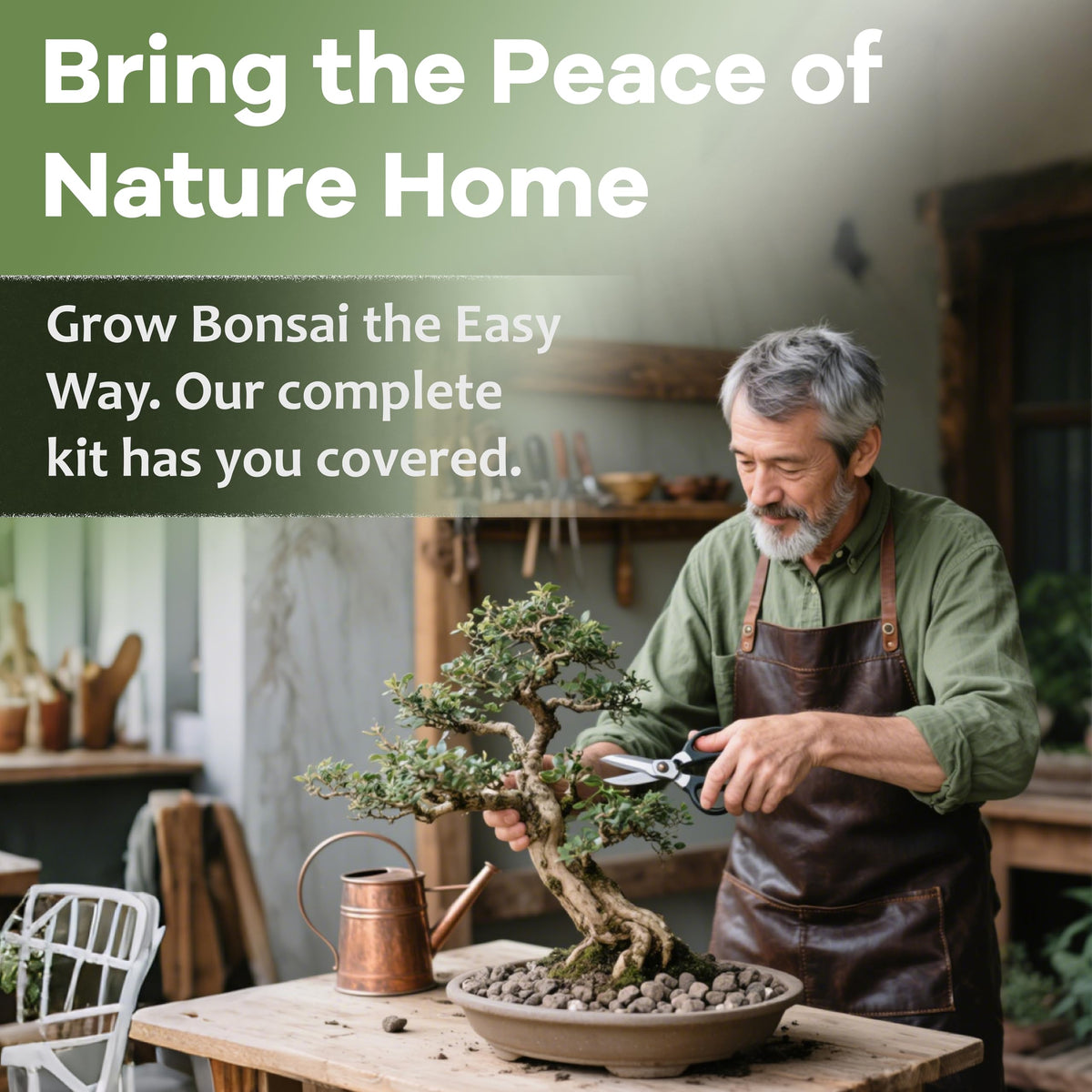 LUOJIBIE five tree bonsai experience capturing global flora and hands on cultivation