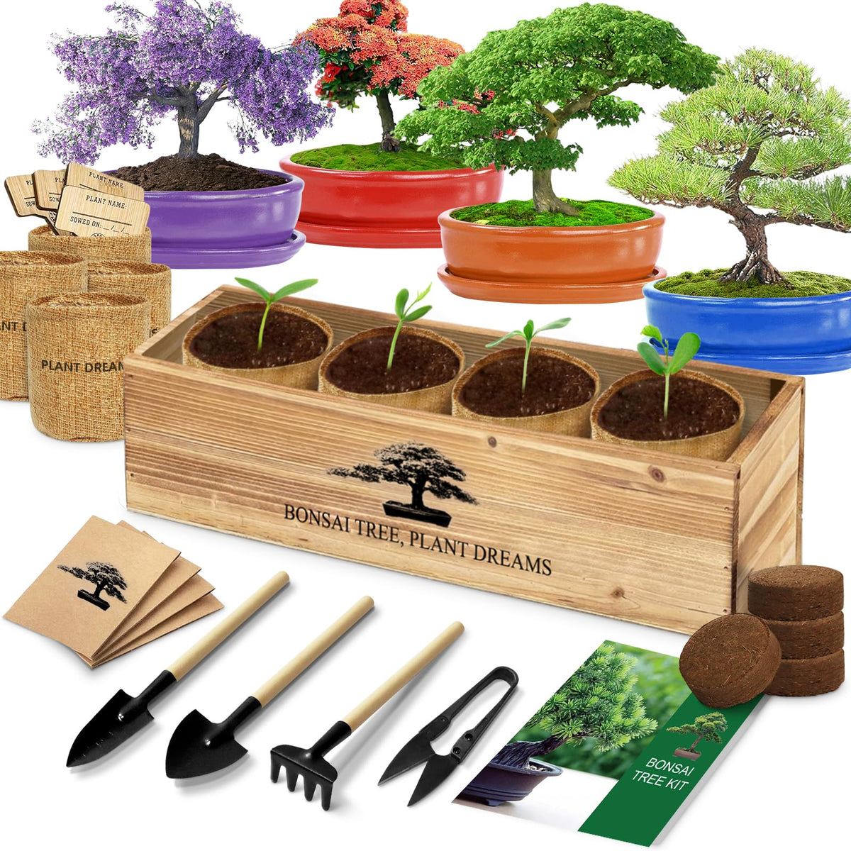 LUOJIBIE Bonsai Tree Kit seeds ready for easy home cultivation.