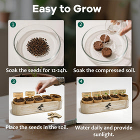LUOJIBIE complete plant kit showcasing living art you can cultivate indoors