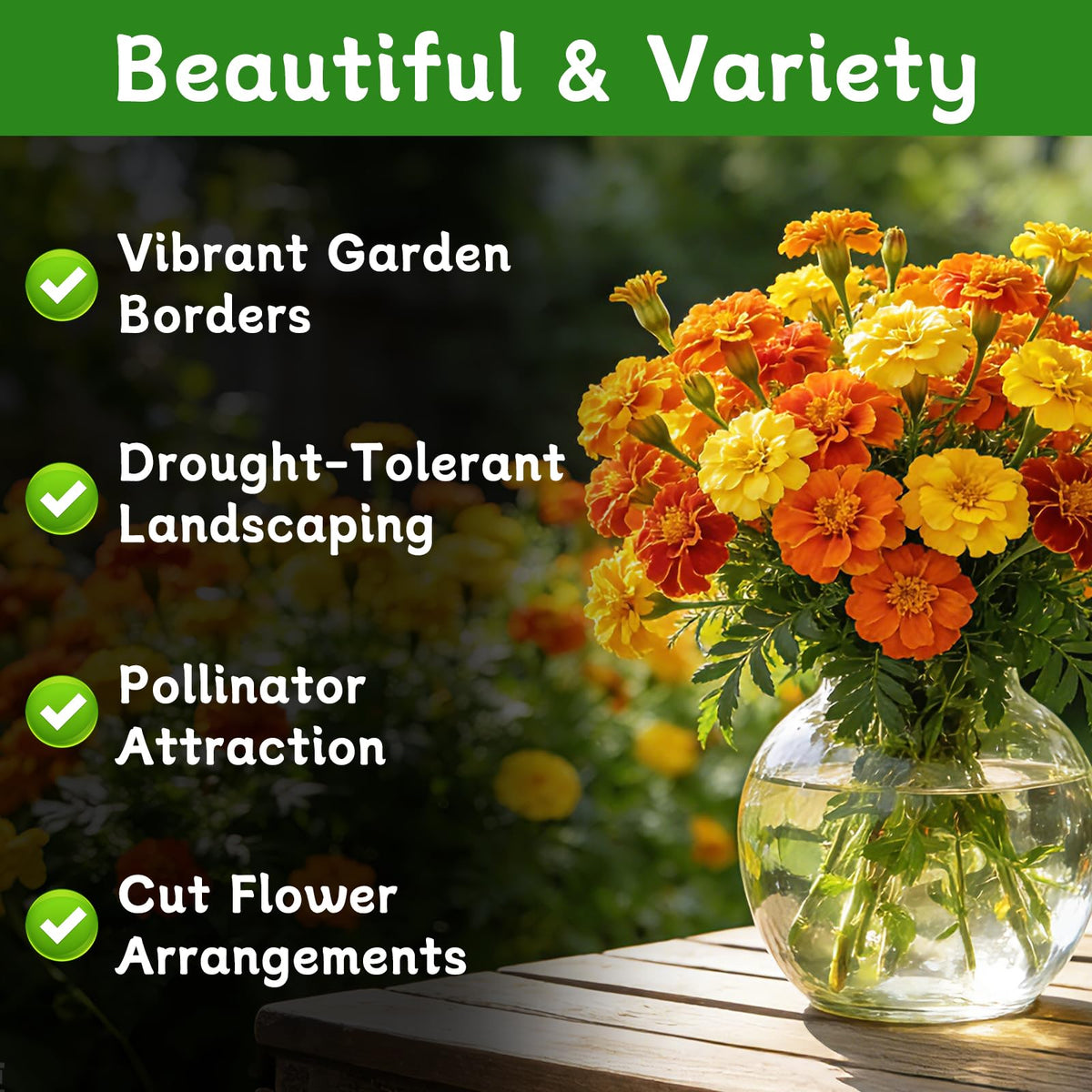 LUOJIBIE bright red orange yellow marigold seeds for containers