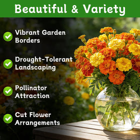 LUOJIBIE bright red orange yellow marigold seeds for containers