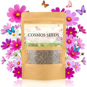 LUOJIBIE Cosmos Seeds 4-color mix pack closeup for vibrant borders