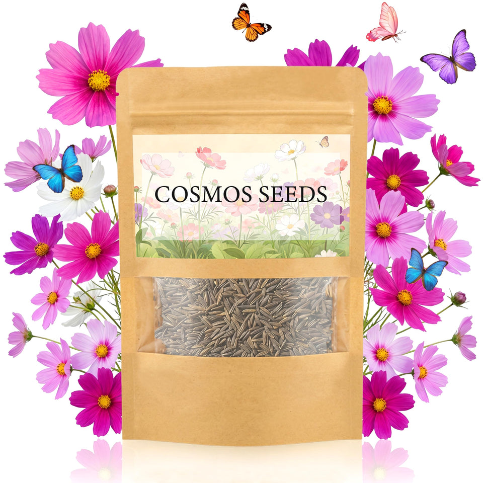 LUOJIBIE Cosmos Seeds 4-color mix pack closeup for vibrant borders
