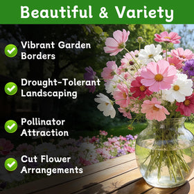LUOJIBIE Cosmos Seeds garden-border display