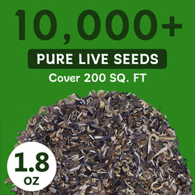LUOJIBIE easy-grow seeds with clear planting instructions for beginners.