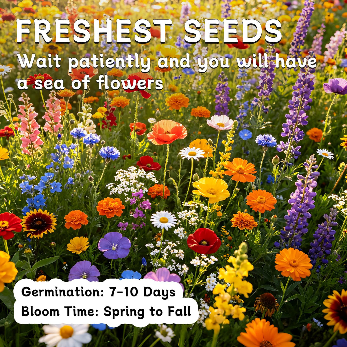 LUOJIBIE gift-ready wildflower seeds for nature lovers and families.