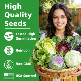 LUOJIBIE Italian lettuce seeds for flavorful daily salads.