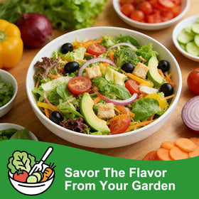 LUOJIBIE Red leaf lettuce seeds for colorful, nutritious plates.
