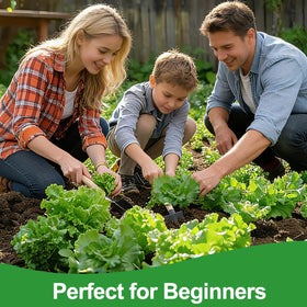 LUOJIBIE Romaine lettuce seeds for crunchy, sturdy greens.