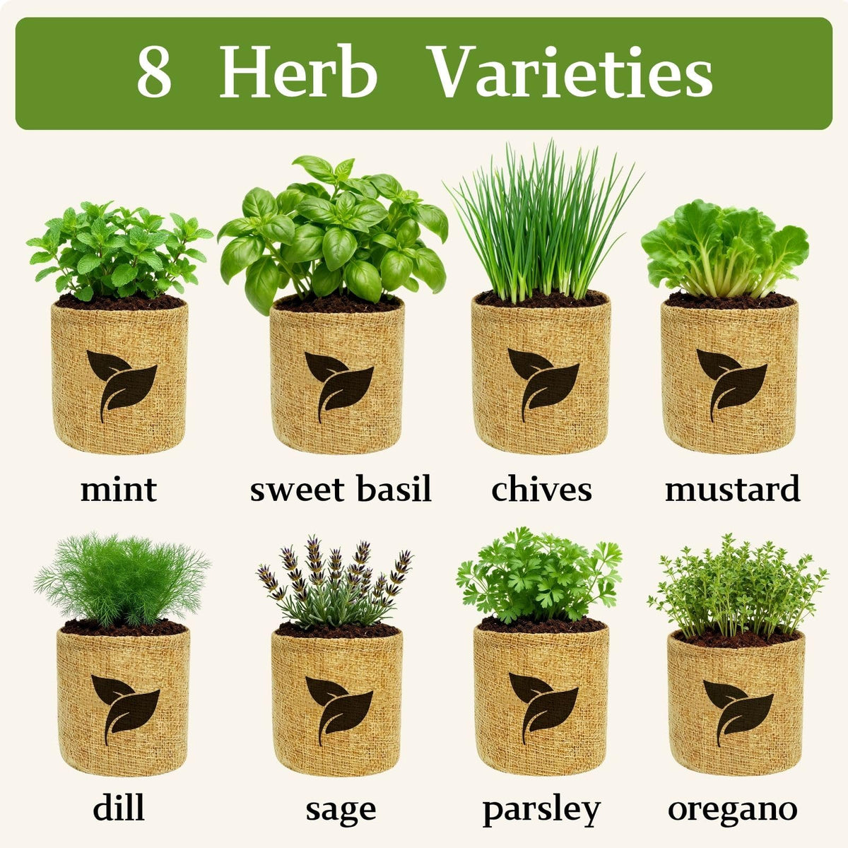 LUOJIBIE plant markers, tools, and spray bottle for easy indoor gardening.